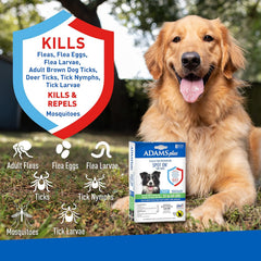ADAMS Plus Flea & Tick Prevention Spot On for Dogs