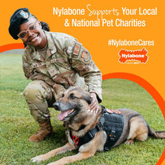 Nylabone Original & Textured Bone Power Chew Toy for Dogs, Durable & Tough Dog Toys for Aggressive Chewers, Basted Blast Bacon and Steak Flavor