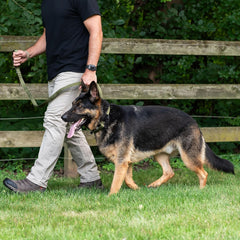 Operation Good Boy Tactical Leash (Green) - Durable, Strong, and Comfortable - Heavy Duty Aviation Aluminum Clip with 360 Degree Swivel - Veteran Owned and Operated