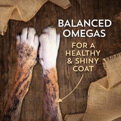 Lamb Meal & Potatoes Grain-Free Dry Food for Adult Dogs 35 lb