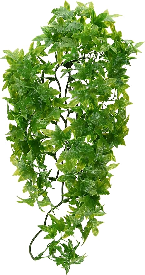 Zoo Med Laboratories Natural Bush™ Congo Ivy Plants for Reptiles