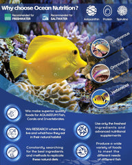 Ocean Nutrition Shrimp Wafers - Sinking Shrimp Food for Freshwater Shrimp Tank (Neocaridina, Caridina, Ghost Shrimp Live, Amano, Cherry) - Enriched with Essential Vitamins & Proteins - 0.53 oz (15 g)