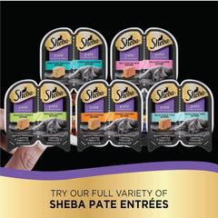 SHEBA Perfect Portions Paté Wet Cat Food Tray (1 Count, 2 Servings), Roasted Turkey Entrée 2.6-oz