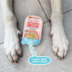 Weruva Meals 'n More Natural Wet Dog Food, Jammin' Salmon Plus Skin & Coat Health (Pack of 12)