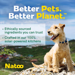 NATOO Healthy Treats for Large Dogs, Crunchy Biscuits Coconut & Mango Flavor – Natural Dog Treats, Rich in Omega 6, Prebiotics & Fibers, Antioxidants for Immunity (8 oz)