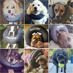 ZenPet Protective Inflatable Recovery Collar for Dogs and Cats - Soft Pet Collar