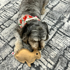 SPOT Dura-Fused Leather Rabbit Dog Toy – Real Leather & Jute, Double-Stitched, Durable Squeaky Chew Toy for Moderate Chewers, Small & Medium Dogs, 7.5in