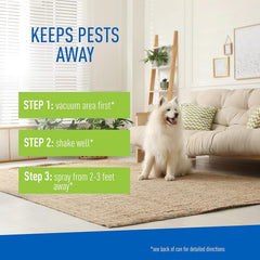 ADAMS Plus Flea & Tick Carpet Spray for Indoor Use – 16 oz