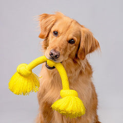 Playology Dri Tech Rope Dog Chew Toy for Large to X-Large Dogs 50lbs & up | Engaging, All-Natural Chicken Scented Yellow Dog Toy for Tough Chewers | Easy to Clean | Interactive and Non-Toxic