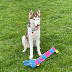 SPOT Snuffle Roll Puzzle Toy, Interactive Feeding Toy for Dogs, Mental Stimulation, 3 Treat Pockets, Crinkle & 2 Squeakers, 25 Inch, Assorted Styles