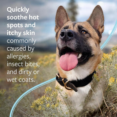 Veterinary Formula Clinical Care Hot Spot & Itch Relief Medicated Spray – Easy to Use Spray for Dogs & Cats – Helps Alleviate Sensitive Skin, Scratching, and Licking of Coat (1 Pack)
