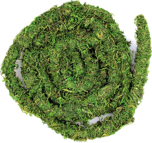 Galápagos Supermoss (05266) MossVine, Real Moss Vine, 12FT, Green