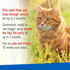 ADAMS Flea &amp; Tick Spray for Cats – 16 fl oz