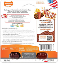 Nylabone Original & Textured Bone Power Chew Toy for Dogs, Durable & Tough Dog Toys for Aggressive Chewers, Basted Blast Bacon and Steak Flavor