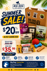 Big Dog Canine Box for Small Dogs – New Surprise of Premium Treats & Toys Every Time You Order