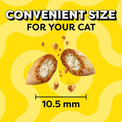 Temptations Classic Crunchy and Soft Cat Treats Tasty Chicken Flavor, 16 oz. Tub
