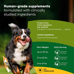 Rooted Owl® Metabolism Support - L-Carnitine Supplement for Dogs and Cats