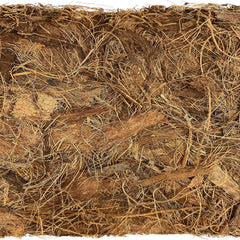 Komodo Coconut Coir Chip 3 Brick Pack | 100% Natural Coconut Coir Reptile Terrarium Habitat Bedding | Retains Moisture for Regulating Humidity | Fits up to a 60 Gallon Tank