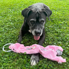 Skinneeez Barnyard Tug Dog Toy - Rope Design for Strong Chewers, Squeaker & Crinkle, Stuffing-Free, Tug Toy for Medium to Large Dogs & Puppies