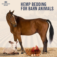 Premium Hemp Bedding for Chicken Coops 285L (~10 Cu Ft usable Volume) - Made in USA - Ideal Nesting Material for Newly Hatched Chicks, Brooder Cover, Small Pet Bedding - 30lbs, 1-Pack