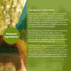 Rooted Owl® Metabolism Support - L-Carnitine Supplement for Dogs and Cats