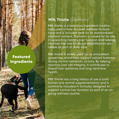 Rooted Owl® Liver Health Supplement for Dogs - Milk Thistle - 60 Vegan Caps