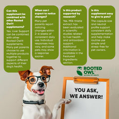 Rooted Owl® Liver Health Supplement for Dogs - Milk Thistle - 60 Vegan Caps