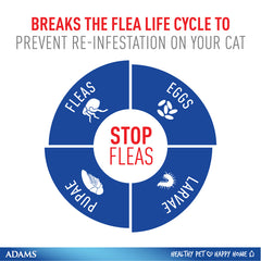 ADAMS Flea & Tick Spot On for Cats  over 5 lbs