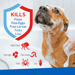 ADAMS Flea & Tick Foaming Shampoo & Wash for Dogs & Puppies 10 fl oz