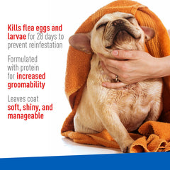 ADAMS Flea & Tick Foaming Shampoo & Wash for Dogs & Puppies 10 fl oz