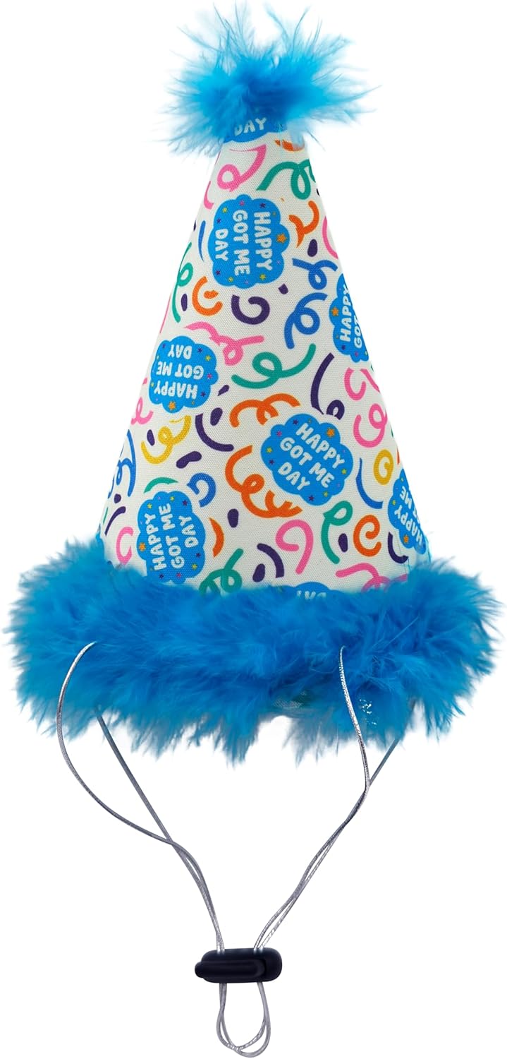 HUXLEY & KENT Party Hat Happy Got Me Day S