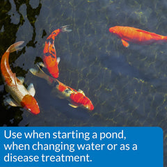 API POND SALT Pond Water Salt