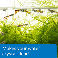 API ACCU-CLEAR Freshwater Aquarium Water Clarifier