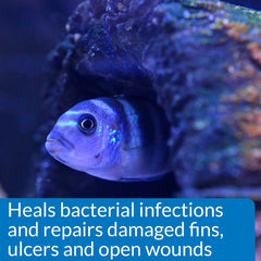 API MELAFIX Freshwater Fish Bacterial Infection Remedy