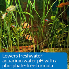 API Aquarium Pharmaceuticals 30B pH Down Aquarium pH Adjuster 16 oz