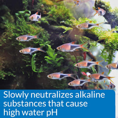 API Aquarium Pharmaceuticals 30B pH Down Aquarium pH Adjuster 16 oz