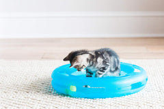 Fat Cat Crazy Circle with Catnip Ball Interactive Cat Toy