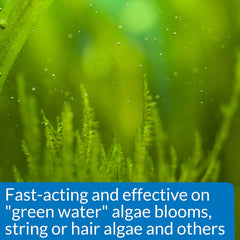API AlgaeFix Freshwater Aquarium Algaecide