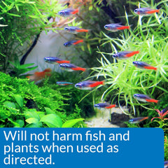 API AlgaeFix Freshwater Aquarium Algaecide