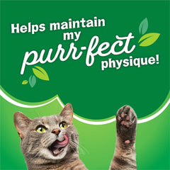Purina Friskies Dry Cat Food, Surfin' & Turfin' Favorites - 16 lb. Bag