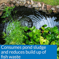 API POND-ZYME SLUDGE DESTROYER Pond Cleaner With Natural Pond Bacteria And Barley