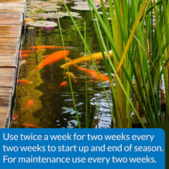 API POND-ZYME SLUDGE DESTROYER Pond Cleaner With Natural Pond Bacteria And Barley