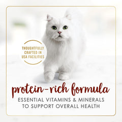 Purina Fancy Feast Tender Beef Feast Classic Grain Free Wet Cat Food Pate - (Pack of 24) 3 oz. Cans
