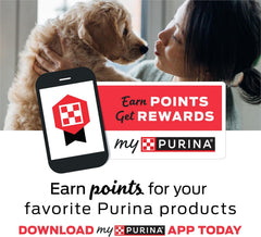 Purina Beneful Prepared Meals Lamb & Rice Stew - (8) 10 oz. Tubs
