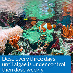 API MARINE ALGAEFIX Algae Control