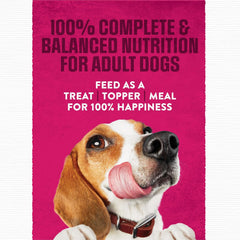 Purina Moist and Meaty Steak Flavor Soft Dog Food Pouches - 36 ct. Pouch