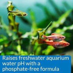 API pH UP Freshwater Aquarium Water pH Raising Solution Bottle