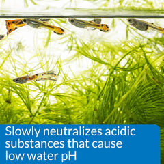 API pH UP Freshwater Aquarium Water pH Raising Solution Bottle