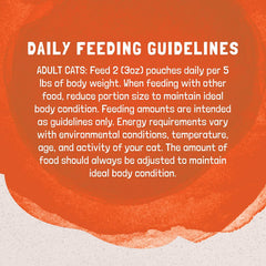Adult Grain Free Wet Cat Food, Turkey & Duck Recipe, 3 Ounce Pouch (Pack of 4)