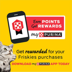 Purina Friskies Grain Free Lickable Cat Food Toppers Lil’ Soups With Sockeye Salmon in Chicken Broth - (Pack of 8) 1.2 oz. Cups